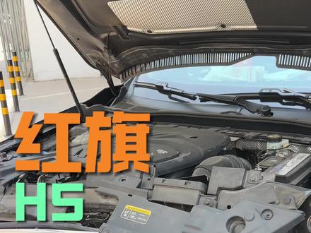 不会还有人担心红旗的安全性吧?#红旗H5