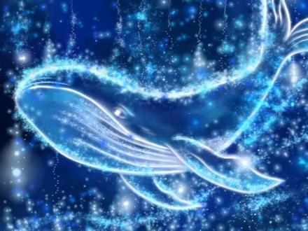 海蓝遇鲸,画世界Pro绘画过程#创作者中心 #创作灵感 #平板绘画 #梦幻星空 #海底星空 蓝色系 简笔画 零基础画画 银河系 临摹练习@Sugarty