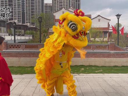 舞狮神态表现------喜.#民俗文化 #醒狮#涨知识