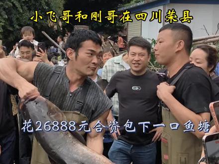 小飞哥和李维刚合资花28888包下一口鱼塘,看一下这次能赚钱吗#抓鱼的热闹场面 @小飞哥 @体德校长李维刚
