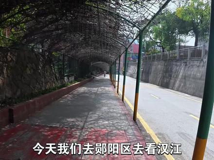 今天我们去郧阳区,煮啵是从汽院站乘坐5路公交车到文化广场换乘100路公交车到郧阳新天地的,坐了一个多小时的车,到了郧阳区我惊讶的发现共享电动车,原来十堰有共享电动车的呀
#郧阳区 #十堰 #共享电动车 #郧阳汉江大桥