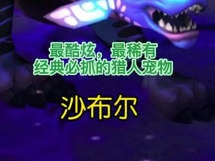 魔兽世界最酷炫,最稀有,经典必抓的猎人宠物-沙布尔-持续更新中#游戏精彩时刻 #魔兽世界 #特效 #一起玩游戏 #新手必看 #游戏日常 #怀旧游戏 #wow #嗜血 #实用 #经典游戏 #魔兽青春 #暴雪 #稀有 #攻略 #视觉震撼 #豹子