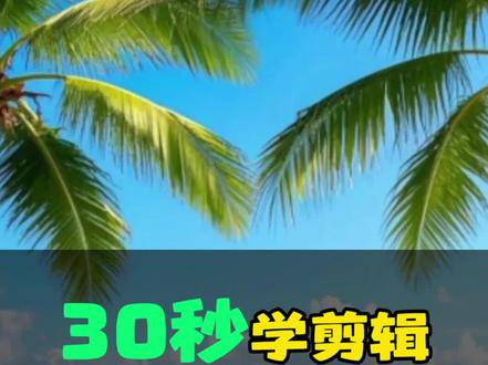 圆形扫描开场制作教程来了#真实生活分享计划 #分享剪辑教程 #剪映操作技巧 #手机剪辑教学