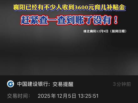 赶紧查一查到账了没有!襄阳已经有不少人收到3600元育儿补贴金!(记者:夏梦涵,编辑:江流,责编:郭鹏,审核:田甜)