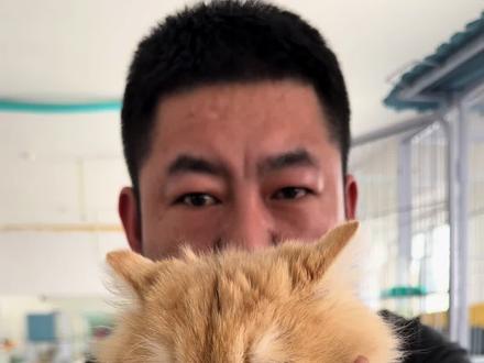 猫咪,干净立正就是可爱…猫鼻支怎么办…牛磺酸赖氨酸对猫的作用#养猫经验分享 #牛磺酸 #新手养猫 #猫咪的迷惑行为