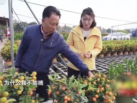 老登:一想到要干什么,我就想笑。#搞笑视频 #灵魂画手 #手绘 #创作灵感 #创作者中心