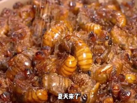 山东人对抓知了猴真的有着深深的执念… #山东 #知了猴 #娱乐评论大赏