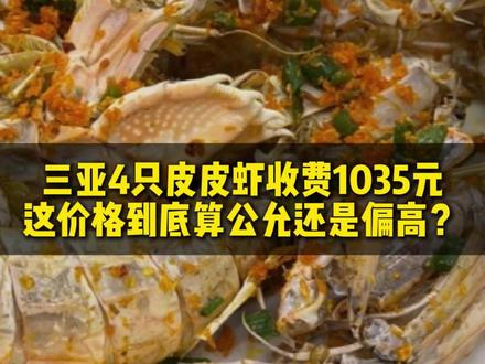 三亚4只皮皮虾收费1035元,这价格贵不贵? 商家的意思,这就是市场行情,进货价就这么高。这倒也是有可能的,这东西具体其实要看大小和季节,这玩意当年便宜,现在老贵了。#皮皮虾 #三亚 #天价海鲜 #抖来普法2026 #秀出我的诉讼策略