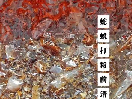 在药店选购蛇蜕的同时,一定要看生产日期和干净程度,这些蛇蜕因为年头太久,已经发黄腐碎#蛇蜕粉#蛇蜕