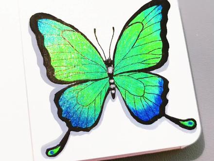 丙烯马克笔画/蝴蝶, 简单好看,快来试试吧!#丙烯马克笔教程 #丙烯马克笔绘画 #一起学画画 #画蝴蝶