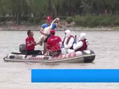 北龙湖#天鹅 被强戴颈环?颈环已取下,天鹅已#放生!