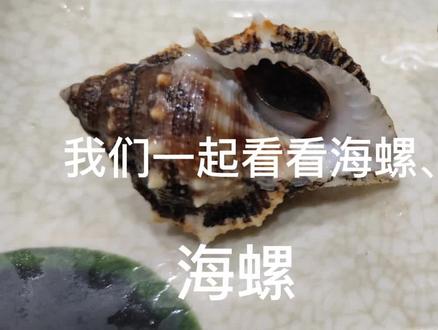益鲜阁上新啦,海螺、白玉螺,怎么吃,你学会了吗😉#海鲜 #海鲜美食 #海鲜自助 #每天都是新鲜食材 #火锅 #美食 #美食vlog #吃货日常 #新鲜出炉 #抖音美食推荐官