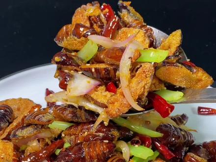 干煸蝉蛹、这样做好吃的不得了#美食教程 #家常菜@抖音美食