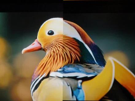 怎样才能分辨一块好屏幕?原来LCD屏幕还有这说法。#屏幕 #LCD屏 #TCL华星