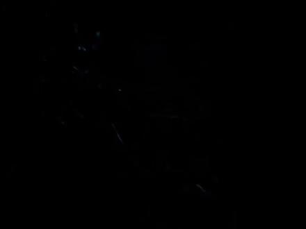 来奉化看蓝眼泪攻略来啦~导航到狮子口或杨村码头或咸祥飞行基地都可以看见~记得路上捡好石头~#看蓝眼泪攻略#奉化#蓝色海洋 #蓝眼泪沙滩 #蓝眼泪奇观