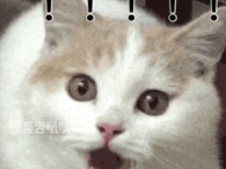 想钱想疯了吧#恋与深空 #优酸乳#恋与深空联名 #联名#游戏日常