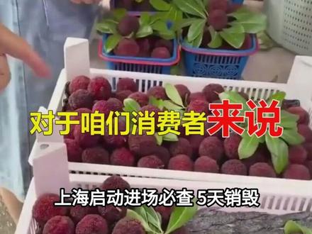 上海启动“进场必查” 5天销毁不合格杨梅1641公斤