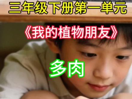 三年级下册第一单元同步作文《我的植物朋友》范文 写多肉别只说“绿绿的、很可爱”
学会看+摸观察法,作文立刻生动起来
200-250字范文,孩子直接仿写
#三年级作文 #小学语文 #作文素材 #我的植物朋友#多肉植物 #多肉植物
