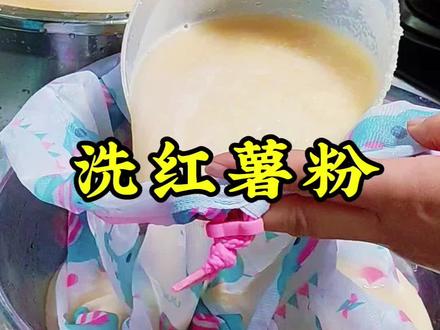 洗红薯粉的过程也太治愈了吧!
新鲜红薯磨成浆,加水搅匀后静置沉淀,倒去上层的水,反复几次直到水清~ 看着淀粉慢慢沉淀成白白的一块,成就感悄悄冒出来😉 洗好的红薯粉用来做凉粉、粉丝都超棒,纯手工的就是不一样,吃着也安心~#动手自己做美食 #我的厨房日记 #洗红薯粉 #劳动者的点点滴滴 @利平 @DOU+小助手 @爱养花的姐姐