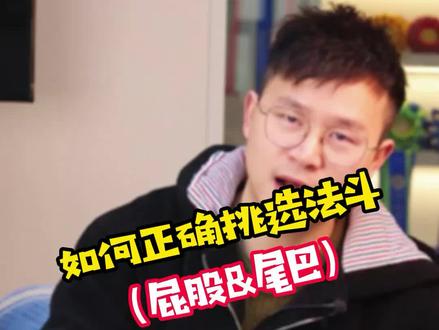 法斗的屁股和尾巴有什么关系 #萌宠 #法斗