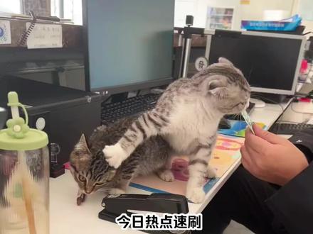 今日热点速刷#监控下的一幕 #搞笑 #解压