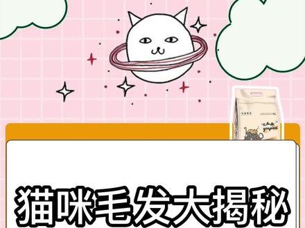带你了解猫咪毛发#宠物食品 #猫粮 #养猫用品推荐 #猫条 #平价宠物用品推荐