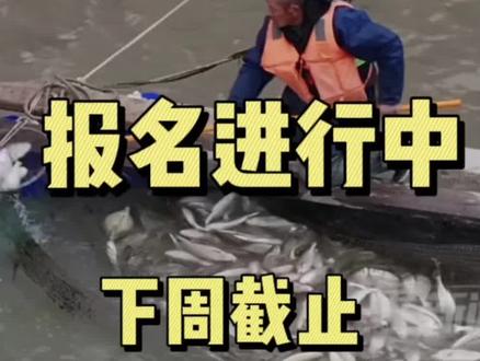 💥守岛人即将截止报名!
👉速上大舟山人才网投递!
#找工作 #守岛人 #舟山 #大舟山人才网 #即将截止