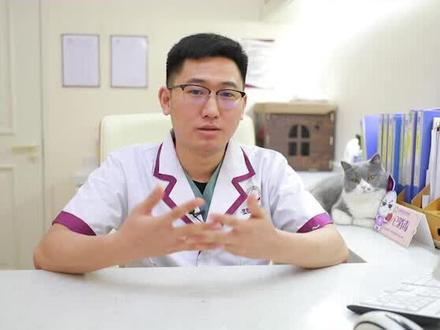 狗狗吐白沫别着急,先排除以下原因#防御保健#狗狗#萌宠#我家毛孩子#科学养宠攻略