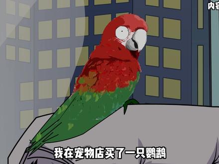 深夜,鹦鹉说起来奇怪的话~ #悬疑 #推理