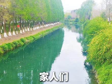 厉怀远与林丽的离婚风波,持续发酵。两天来,双方不断更新证据与发声,舆论陷入两极分化。
林丽一方,以多年共苦、婚内出轨及转移财产为核心控诉点,强调为儿子争取权益,引发大量粉丝同情。厉怀远则主打“沟通不畅”与“多年压抑”,声称婚姻早已耗尽感情,试图博取理解。
网友观点分裂,有人指责厉怀远“忘恩负义”,也有人理解林丽“情绪失控”。晚间热议焦点,集中在双方对孩子抚养权与财产分配的博弈,以及过往生活细节的真假之争。
然而,无论争执如何升级,那个无辜的孩子始终是最大的痛点。作为主播,我们应传递的正能量是:婚姻聚散本无常,但请务必守护孩子的未来。让我们远离网络暴力,以理性与善意,祝愿孩子健康成长,这才是热点话题最该有的温度。#厉怀远 #林丽 #厉怀远媳妇 #厉怀远爸爸 #厉怀远妈妈