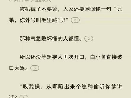 毒舌天罡 番茄小说 77章末尾