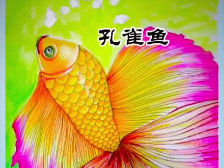 画一只孔雀鱼#一起学画画