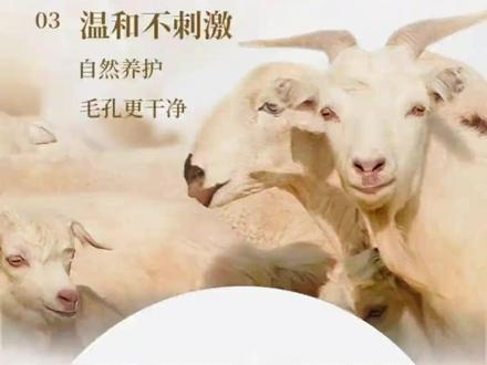 央视都忍不住点名表扬的四位博主#正能量#感动瞬间#人物故事#国货