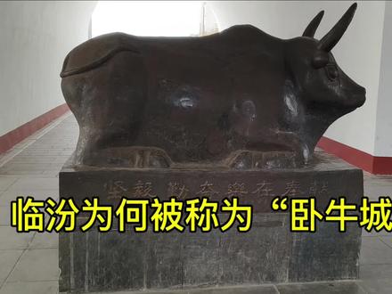 临汾为何被称为“卧牛城”?临汾博物馆的一尊“唐铁卧牛”出土三次才收获“自由”,这头铁牛不简单!它能否为我们解开临汾卧牛城的历史吗?临汾俗称卧牛城。一说它东踞虎山,西盘姑射,汾流一线,绵亘南北,形如卧牛,故名“卧牛城”;一说古时临汾城里卧着一头金牛,时常晚上出来,给穷苦农民耕地,便把临汾城叫成了“卧牛城”;还有一说民谣唱道:“棒子须,西葫芦,卧牛城下卧牛出。”就是说因城墙四周各埋铁卧牛一尊,故有卧牛城之说。说也应验,1977年10月,临汾地区糖业烟酒公司郭德金建房时,确实在东北角城墙上挖出了一个铁卧牛,证实了《临汾县志》中“临汾城墙雉堞内侧土壅铁牛”的记载。这尊铁卧牛呈卧状,高脊梁,卷尾,腹部有浇铸接缝。通过测定,卧牛是生铁(实心)所铸,系唐代铁器,其实这是铁牛第三次出土了。1987年大中楼修复完工,铁卧牛置之楼上展出。唐铁卧牛三隐三现锈迹斑斑,震慑洪水守城千年,一头牛“治愈”了一座城,这头铁牛从唐朝走来,见证着临汾更迭变迁的岁月,人们亲切地称它“卧牛”,或许是与这座城有着不解之缘,它经历三次出土才收获“自由”。第一次,临汾自古是一座易守难攻的英武城池,公元908年,梁、晋两军交兵,梁军守城刺史徐怀玉组织修补被毁城墙时挖到铁牛,众人纷纷议论说:“这是一件吉祥之物,可以保佑晋州城坚不可摧,千万不可乱扔,不然就要大祸临头。”徐怀玉赶紧命人刻石,记录发现铁牛经过:“开平二年九月一日,番贼六万余人入界,至五日齐到城下。战后诸军兴工修城,二十八日于城墙东北隅发现铁牛一尊,铁身铁座,时以为祥,因置石函贮之,瘗( yì)于故处。”然后将铁牛装入一个石函,把原地略作清理,刻石平放于地,石函放在其上,最后填土,夯筑城墙。不过数日,晋州城坚固如初。第二次,明洪武六年(1373年),平阳指挥使胡渊修筑临汾城时铁牛二次面世,在清理东北角旧城基础时,隐隐约约见一东西埋于土中,挖开一看,是一石函。大家惊骇异常,赶忙打开,但见内伏一尊铁牛,“高可尺余,长广相称”。石函之下,有一石碑,为梁开平二年九月晋州刺史徐怀玉所题。这就是公元908年徐怀玉首次发现铁牛后,重埋旧处所刻之石,在相隔465年后重新出土。胡渊弄清铁牛及石碑的来历,视为神物,便命手下将校择吉日举行隆重仪式,再挖深穴,恭恭敬敬地将石函及徐怀玉所刻之碑埋入原处。并命平阳卫管军正千户张桂撰文刻碑,记述此事的前因后果,将碑也埋于此处。第三次,