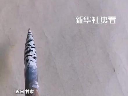 绝!寥寥几笔虎皮鹦鹉已跃然纸上