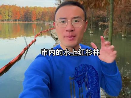 武汉除了东湖其实南湖也还蛮漂亮#湖北美好推荐官 #治愈系风景 #水杉 @抖音小助手