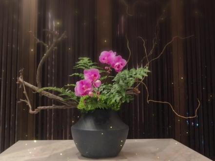 “茶,几经翻滚,见质
人,几翻往来,见心”