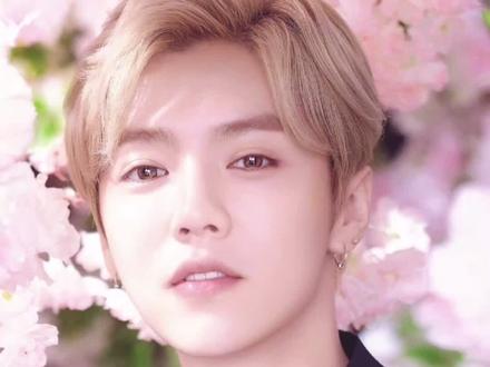 鹿晗的豪华别墅,你想和他当邻居吗?#鹿晗 #豪宅 #全球房产 @抖音小助手