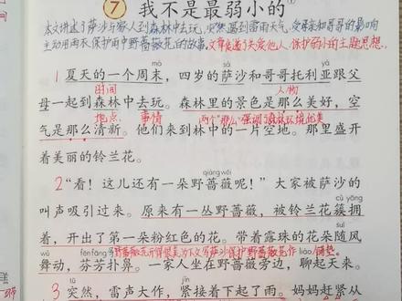 二年级语文下册《我不是最弱小的》视频讲解完整版。成人课堂。2026年春季新教材,改版后最新版#小学语文#预习#复习#教师备课 #预习