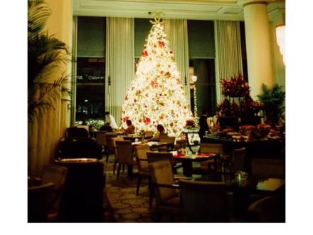 没有一款胶片比这个更适合夜晚拍摄
🎞️Cinestill 800T
#胶片 #摄影小白 #胶片摄影 #cinestill #摄影教程