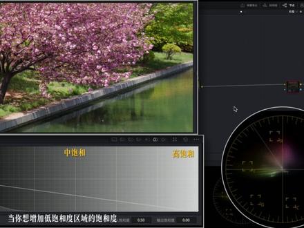 达芬奇的HSL曲线搞不懂?一个视频教会你 #达芬奇 #达芬奇调色 #调色 #达芬奇教程 #摄影