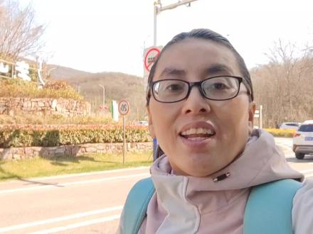 游南京老山真怕窜出一头野猪!山林野趣翻山越岭柳暗花明又一村 #登山 #户外徒步 #国家公园
