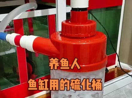 鱼缸用硫化桶有多大用处?鱼缸的水能更干净吗?#水族 #养鱼 #鱼缸 #龙缸 #海缸