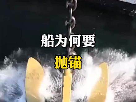 船为何要抛锚。#每天跟我涨知识 #抛锚