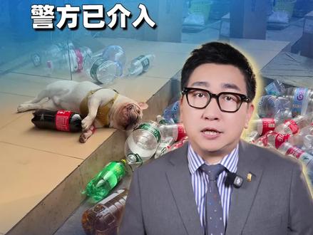 广州50万粉“捡瓶小狗”被迫停工,背后原因令人心寒! #广州网红小狗 #宠物 #捡瓶子小狗疑被毒狗团伙盯上