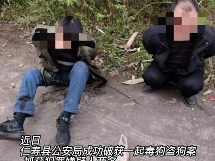 D狗、套狗!眉山这两块丧心病狂的偷狗贼遭逮了!