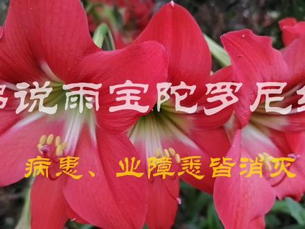 佛说雨宝陀罗尼经
#人生是一场修行