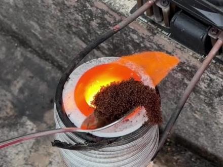 把红火蚁扔进上千度的坩埚里!会发生什么事?#红火蚁#红火蚁入侵#坩埚