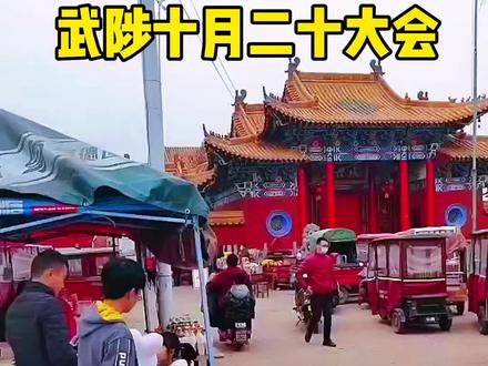 武陟的十月二十大会开始了,你来赶会了吗#武陟#赶集日#同城创作者补贴计划 #武陟十月二十大会 #小时候的年味记忆 @抖音小助手