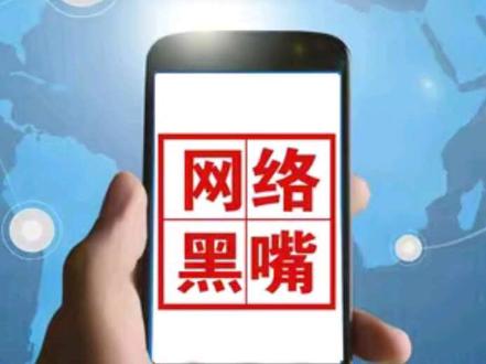 我们不是网络黑嘴! #浙江日报 #网络黑嘴